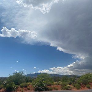 Meet your Posher, Amelia